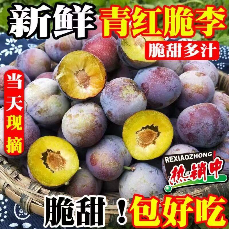 四川正宗青红脆李原生态高山种植新鲜水果脆甜多汁当季现摘李子