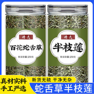白花蛇舌草和半枝莲中药材新鲜野生百花铁树叶茶泡水的功效与作用