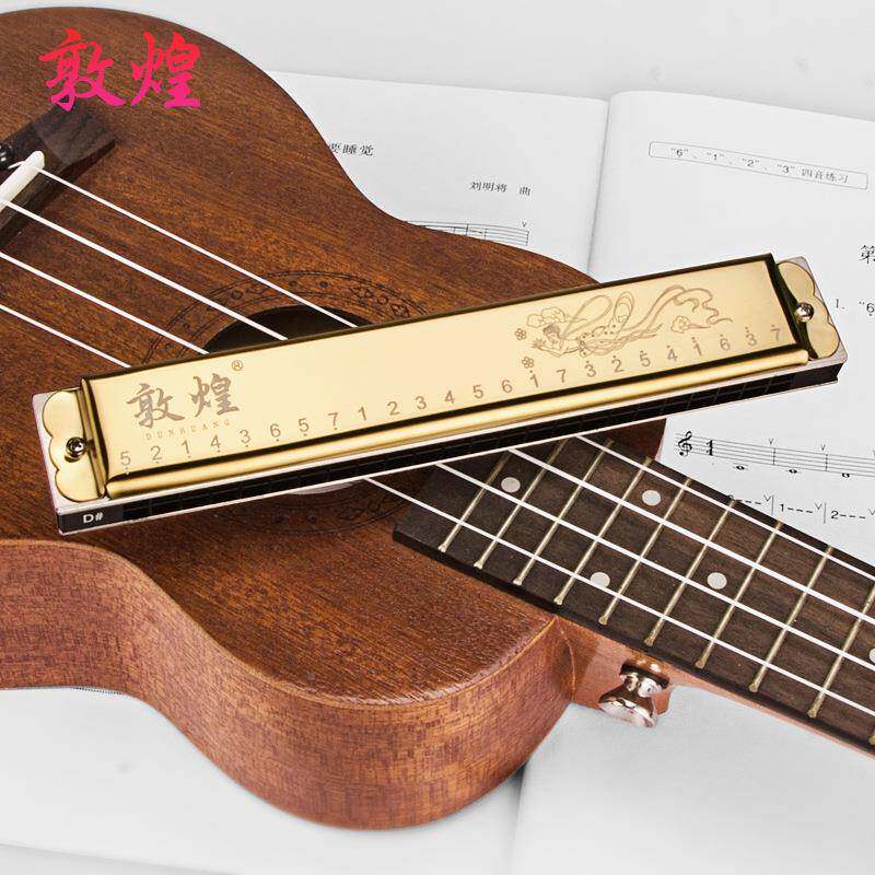 装口琴24孔7WTE调复音C调特调套套口琴成人儿童初别学演奏乐装器