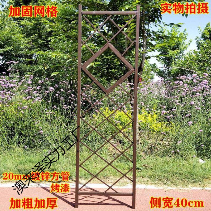 园艺架户外庭院花架花园月爬藤架季新鲜花网款铁艺拱F96ST659门欧