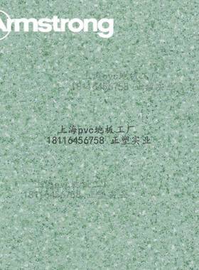 阿2姆斯RTS壮像龙P料VC幻塑胶地板胶.2mm密实塑商用公共办公