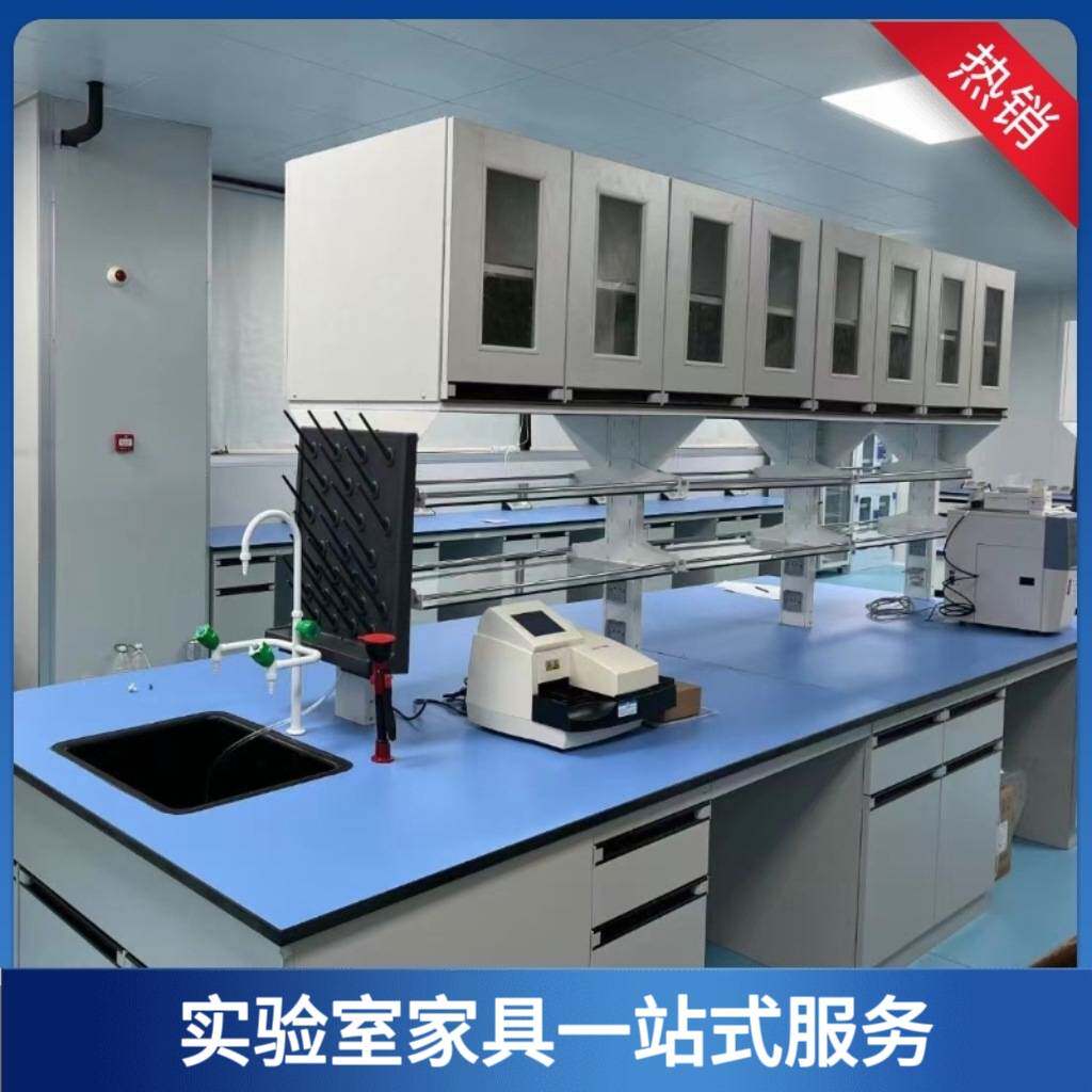 供宁波舟山余姚慈溪宁海实验台工作台钢木实验台全钢边台化验室