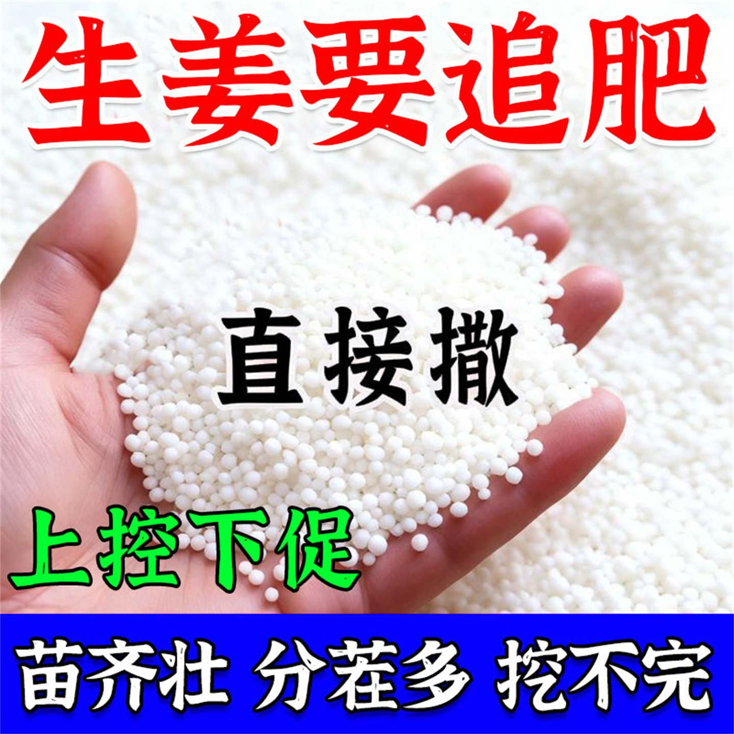 生姜专用肥料促生长生姜专用营养