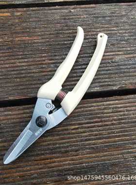 直销新款进口ARS140DX枝剪花剪园艺剪园林工具剪刀修枝剪