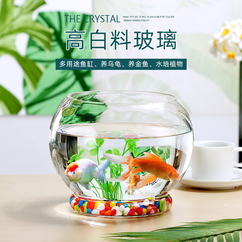 透明加厚高白料鱼缸乌龟缸客厅办公室桌面水培生态造景金鱼缸水培,宠物/宠物食品及用品,桌面缸,淘宝优惠券,粉丝福利购,淘宝优惠卷