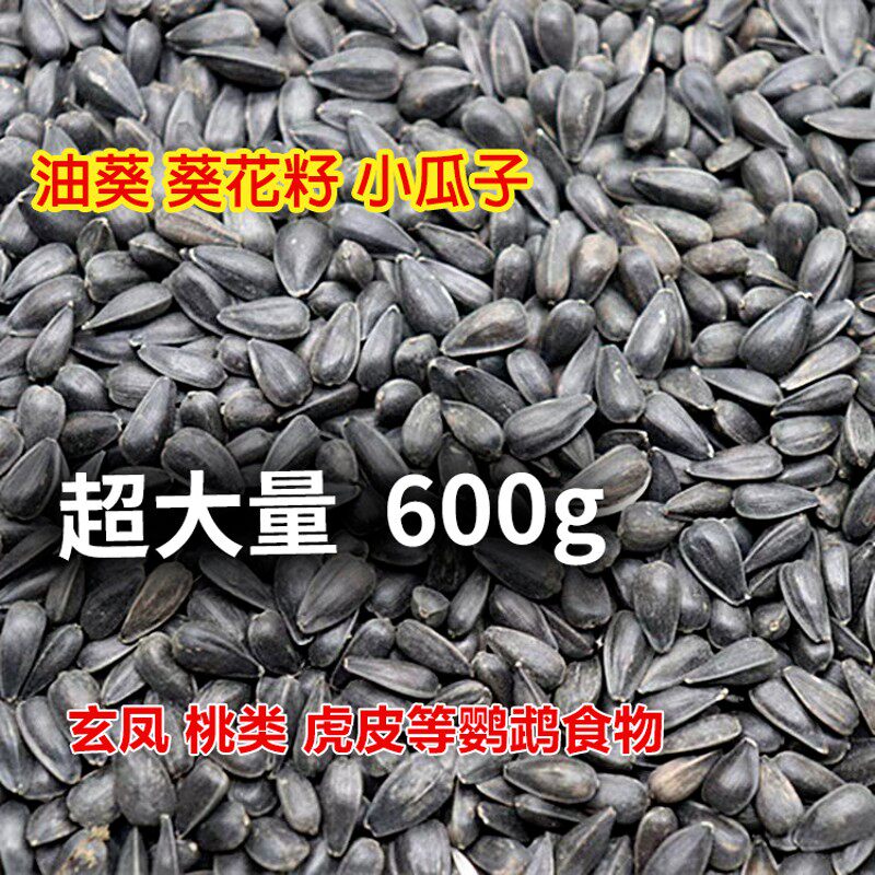 黑珍珠小瓜子葵花子油葵籽玄风太阳鹦鹉鸟食仓鼠零食鸟粮5斤包邮