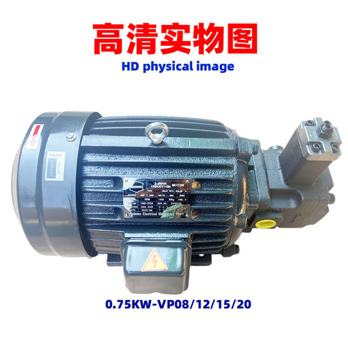 机床液压油泵电机组380V三相液压站电机0.75KW/1.5KW/2.2KW配VP泵