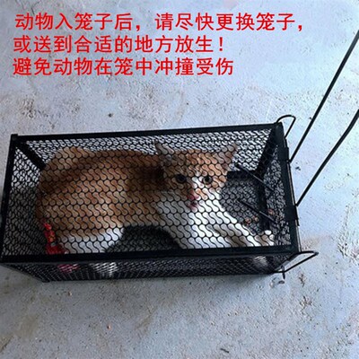 人道救助全自动捕猫笼 捉猫笼 流浪猫救助笼 寻猫神器 驱赶抓猫笼