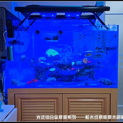 光远 金晶超白玻璃缸 海缸 海水套缸 海水珊瑚缸原木色铝合金底柜
