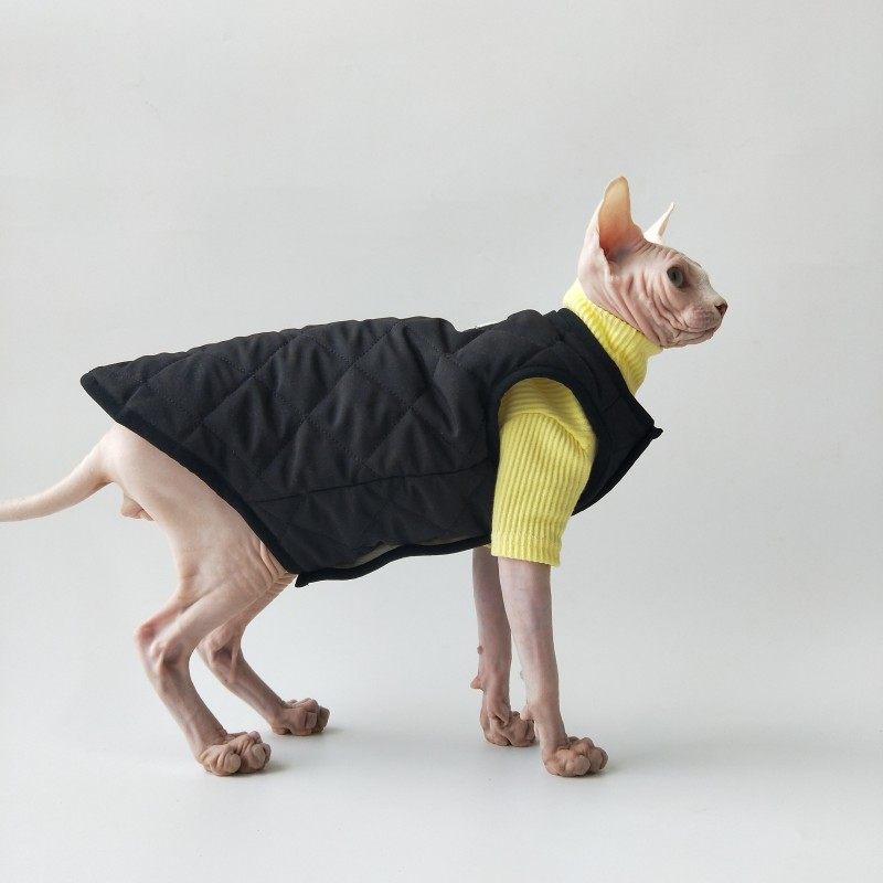 斯芬克斯无毛猫德文 秋冬款夹棉加绒保暖棉衣马甲 定制 包邮,宠物/宠物食品及用品,狗宠物服装/雨衣,淘宝优惠券,粉丝福利购,淘宝优惠卷