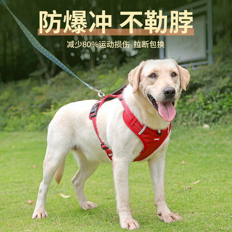 狗狗牵引绳防爆冲胸背带中型大型犬金毛拉布拉多狗链子大狗遛狗绳,宠物/宠物食品及用品,狗牵引绳,淘宝优惠券,粉丝福利购,淘宝优惠卷