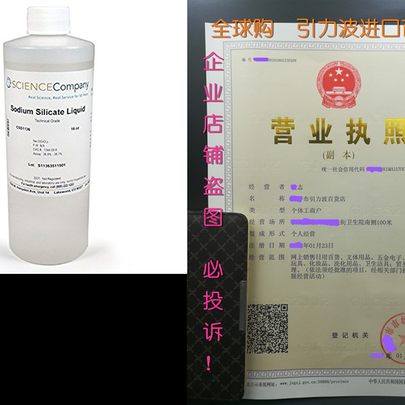 The Science Company, NC-0882, Sodium Silicate 16oz