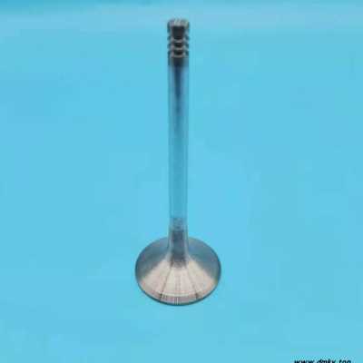 庞巴迪摩托艇进气门 排气门 适用于130 155 215 255 230 260 300