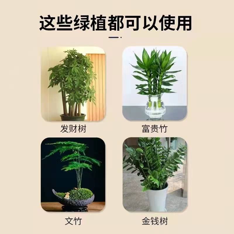 青为上物苏植永3号绿植序诺时花肥活力素营养液