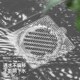 地漏过滤网浴室一次性下水排水口拦截网卫生间毛发滤网防堵地漏贴