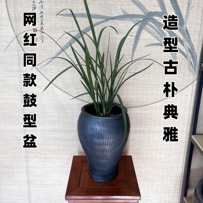 纯手工黑陶鼓型兰花盆莲瓣兰大雪素花盆黑陶泥瓦盆高筒花盆兰花盆图片
