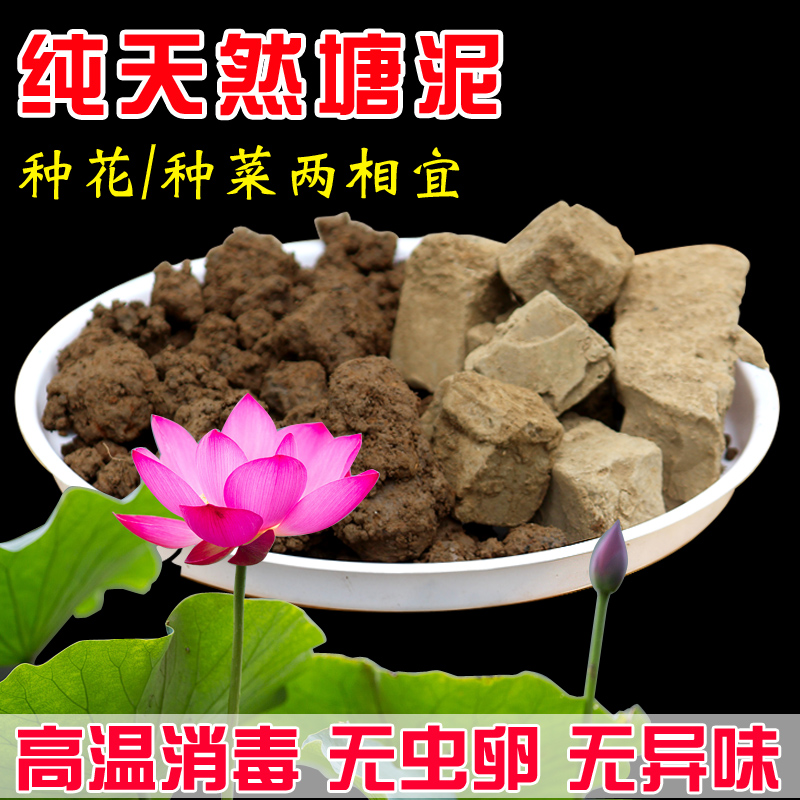 塘泥土 种植土 阳台种花种菜碗莲睡莲荷花18元包邮土荷塘土营养土