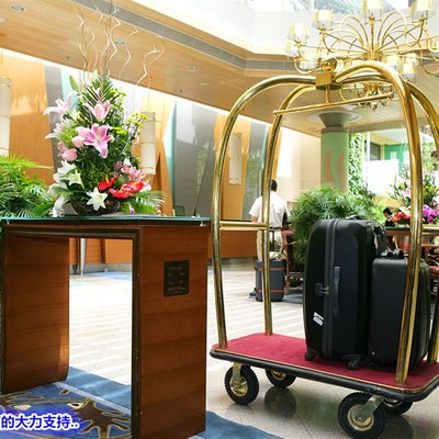 加厚小金顶行李车 手推行李车 酒店行李车 平板手推车 散客箱包车