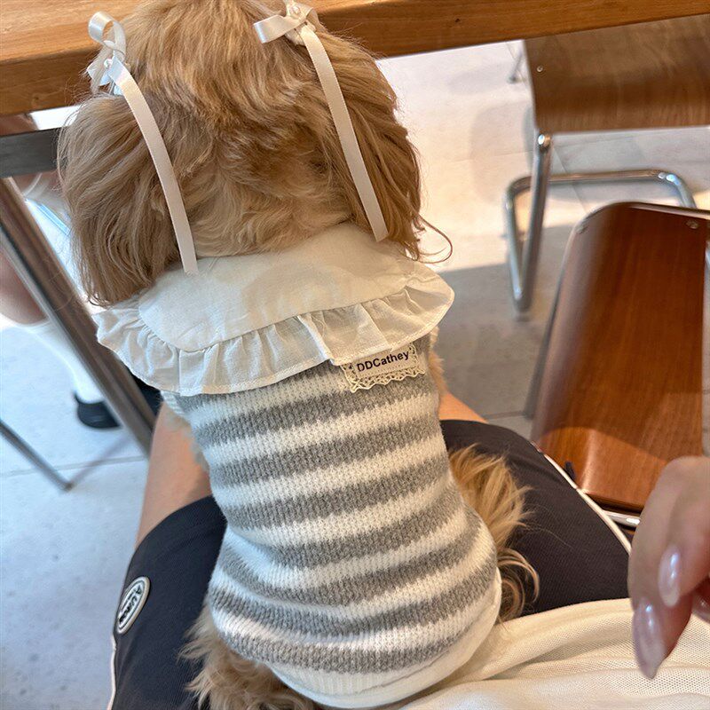 袋袋猫 条纹宠物毛衣马甲 猫咪狗狗小型犬比熊春秋衣服小狗毛衣