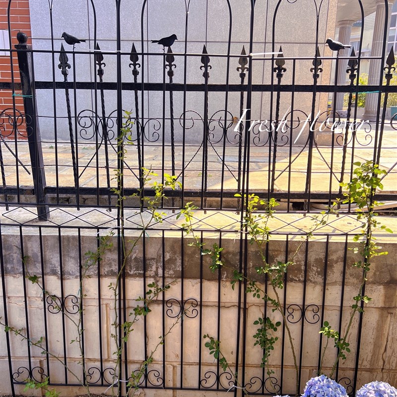 铁线莲爬藤架蔷薇月季种植花园栅栏户外花K架支撑杆铁艺植物攀爬