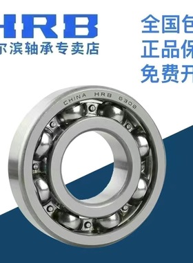 HRB 哈尔滨轴承 6240 6244 6248 6252 2Z 2RZ 深沟球轴承
