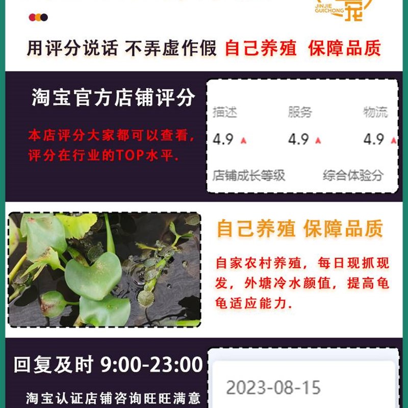 金介龟宠大 河甜龟甜圈活孔雀龟深水龟观赏西锦巴西黄耳小乌龟物