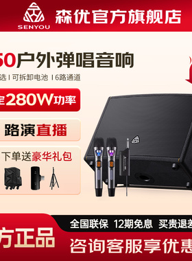 森优K50萨克斯电吹管乐器音响户外K歌室内直播便携式路演弹唱音箱