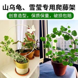 山乌龟雪莹爬藤架圆形创意铁艺铁线莲月季攀爬绿植专用盆景花架子