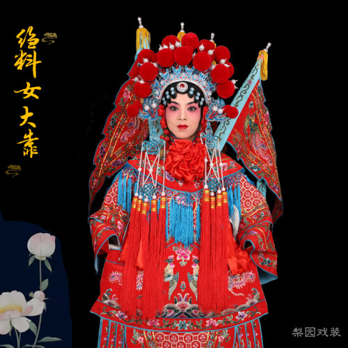 京越剧戏曲演出服装 武旦刀马旦穆桂英戏服 古装女将绉料女大靠旗