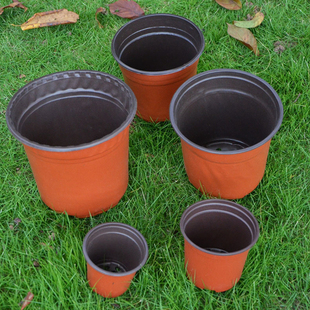 双色育苗盆育苗穴盘种植盆塑料培育花盆苗盘移植盆营养钵多肉扦插