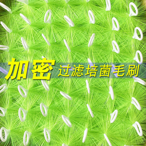 鱼池毛刷过滤毛刷锦鲤池底滤滤材水族箱过滤材料304钢1.6芯50支箱