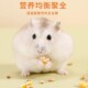 仓鼠粮食金丝熊营养主食仓鼠用品大全专用饲料食物面包虫小零食