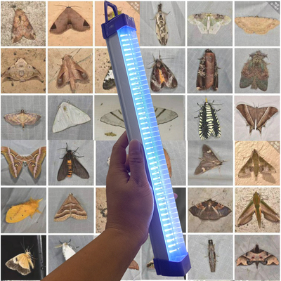 led诱虫灯充电式带挂钩户外蝼蛄蟋蟀知了蝎子龙虱黑光引虫灯