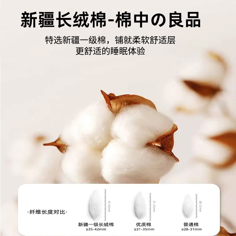 新疆棉花垫被学生宿舍单人褥子床垫软垫家用卧室垫子床护垫可折叠