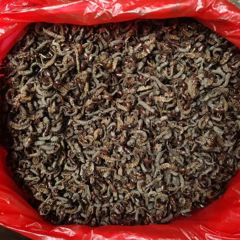 画眉鸟食鸟饲料鸟粮鸟料水蜈蚣爬沙虫河虫提性壮瞟上力耐斗干货虫