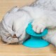 宠物猫吸盘蹭毛器按摩器猫咪抓痒挠痒蹭痒器猫咪梳子吸盘按摩刷
