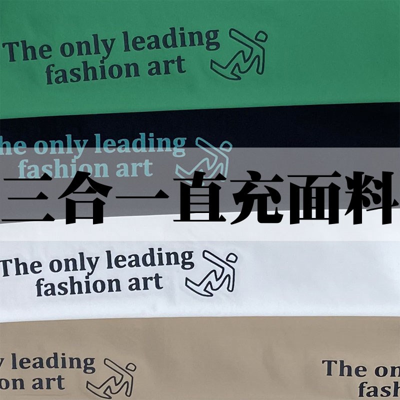 2023高端三合一免胆直充羽绒服面料加厚通道布时尚棉衣马甲布料