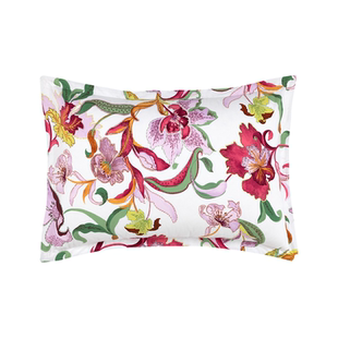 Olivier Desforges阿玛丽亚/洛可可/伊薇尔枕套