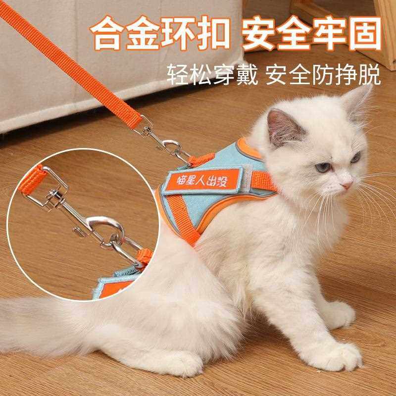 新款直销新款小K9猫咪背心式胸背带套装 防走失小型牵引绳 现货溜,宠物/宠物食品及用品,猫牵引绳,淘宝优惠券,粉丝福利购,淘宝优惠卷
