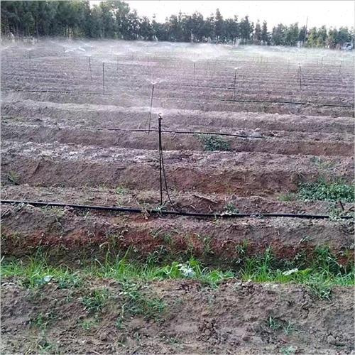 自动灌溉浇花园林农用雾化微喷头喷灌地插微喷雾喷淋大棚浇水喷头