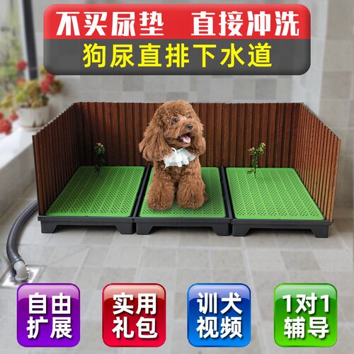 直通下水道三面围墙狗厕所