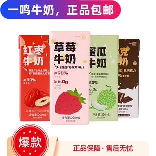 一鸣丹东草莓红枣蜜瓜香蕉生牛乳早餐纯香奶学生儿童送礼品盒整箱