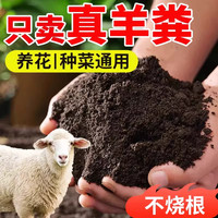 纯羊粪发酵有机肥腐熟粪肥种花果肥养花卉专用通用肥料内蒙古土壤