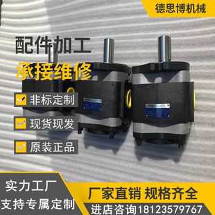 125 德国福伊特高压齿轮泵IPH6 101矿山机械机械油泵IPV3