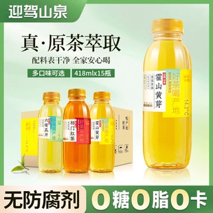 15瓶纯茶饮品0糖0脂0卡茶饮料 迎驾山泉无糖茶418ml 临期特惠