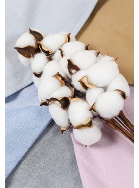 SIMWOOD 2022 21s/2 oxford shirts men classical casual shirt