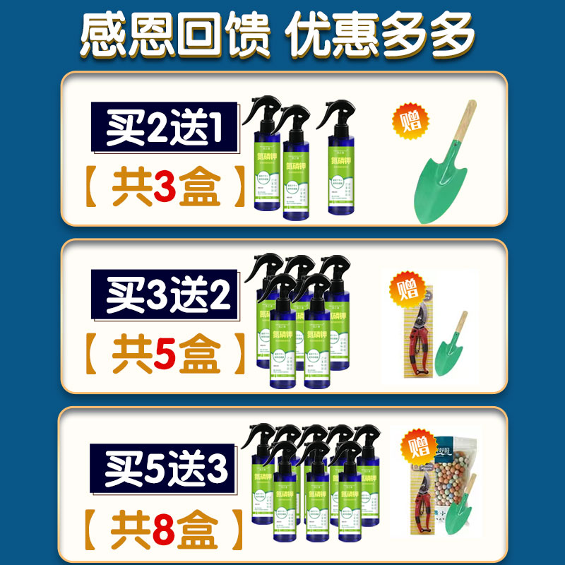 极速仙客来专用肥营养液肥料叶子发黄不开花风信子朱顶红仙客来通