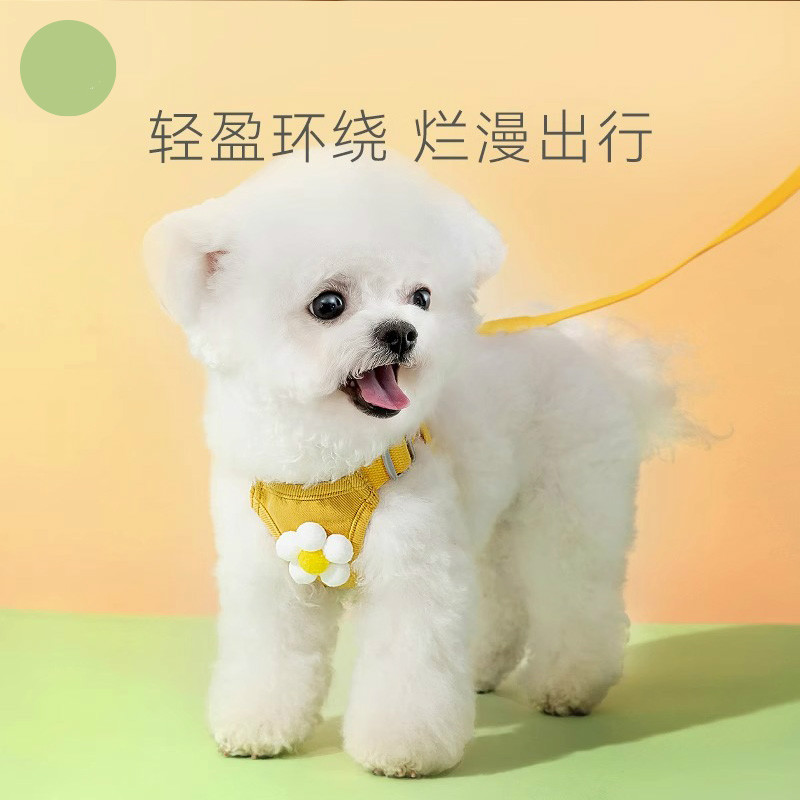 宠物牵引绳狗狗猫咪背心式小型幼犬外出狗绳狗炼防挣脱网红遛猫绳