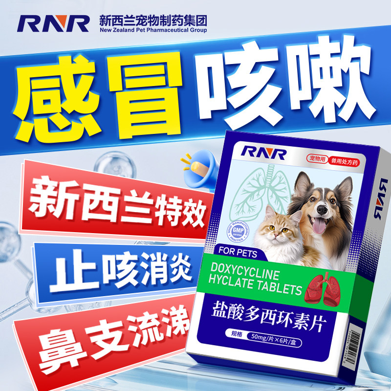 猫咪感冒药小猫感冒流鼻涕药小狗狗呼吸道感染阿莫西林拉维酸钾片