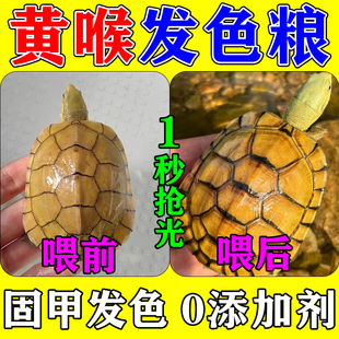 黄喉小青龟粮西非侧颈寸金拟水地图发色八合一高端饲料鱼虾干高钙